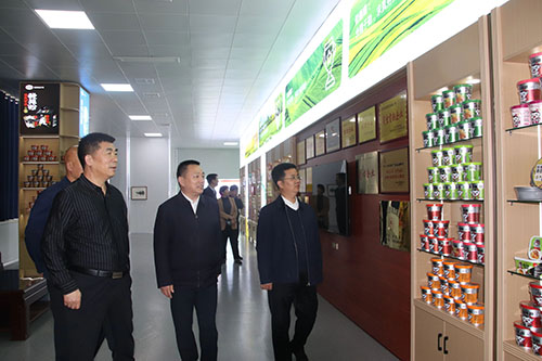 國家、省、市鄉(xiāng)村振興局等**一行蒞臨麗星公司進(jìn)行調(diào)研工作